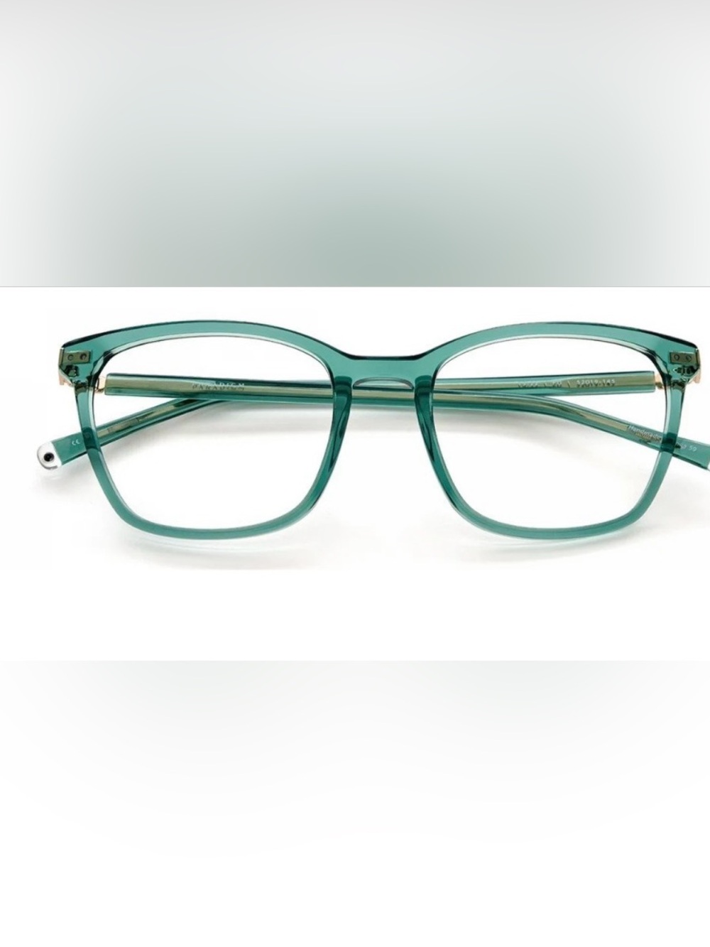 Paradigm eyeglasses -green | 19-22 with case